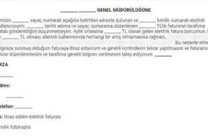 Forex Dolandırıcılığı Mağdurlarının Şikayet Dilekçesi Nasıl Yazılır