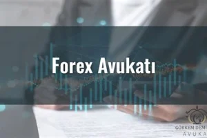 Forex Hukuku Konusunda Avukat Tavsiyeleri ve Rehberlik