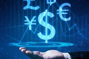 Forex Hukuku ve Yasal Mevzuatı Nedir