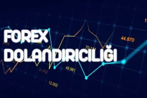 Türkiye'de Yasal Forex Firmalarının Lisans Bilgileri