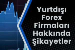 Yurtdışı Forex Firmalarının Denetlenmesi